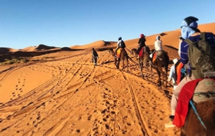 Camel trek in Merzouga dunes