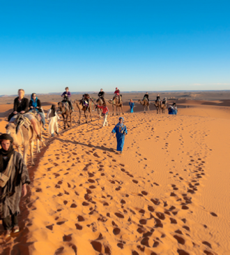 Tour from Marrakech