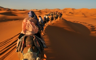 6 Day tour from Casablanca To Desert