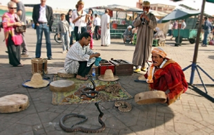 Half Day City Excursion in Marrakech